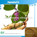 , Puerarin 15% ~ 98% 3681-99-0
